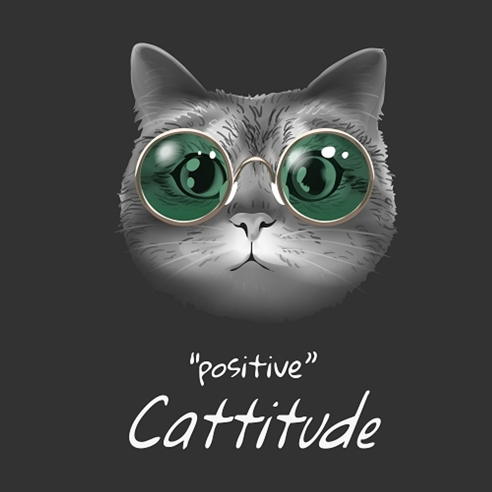 принт PewPewCat с котом Positive Cattitude