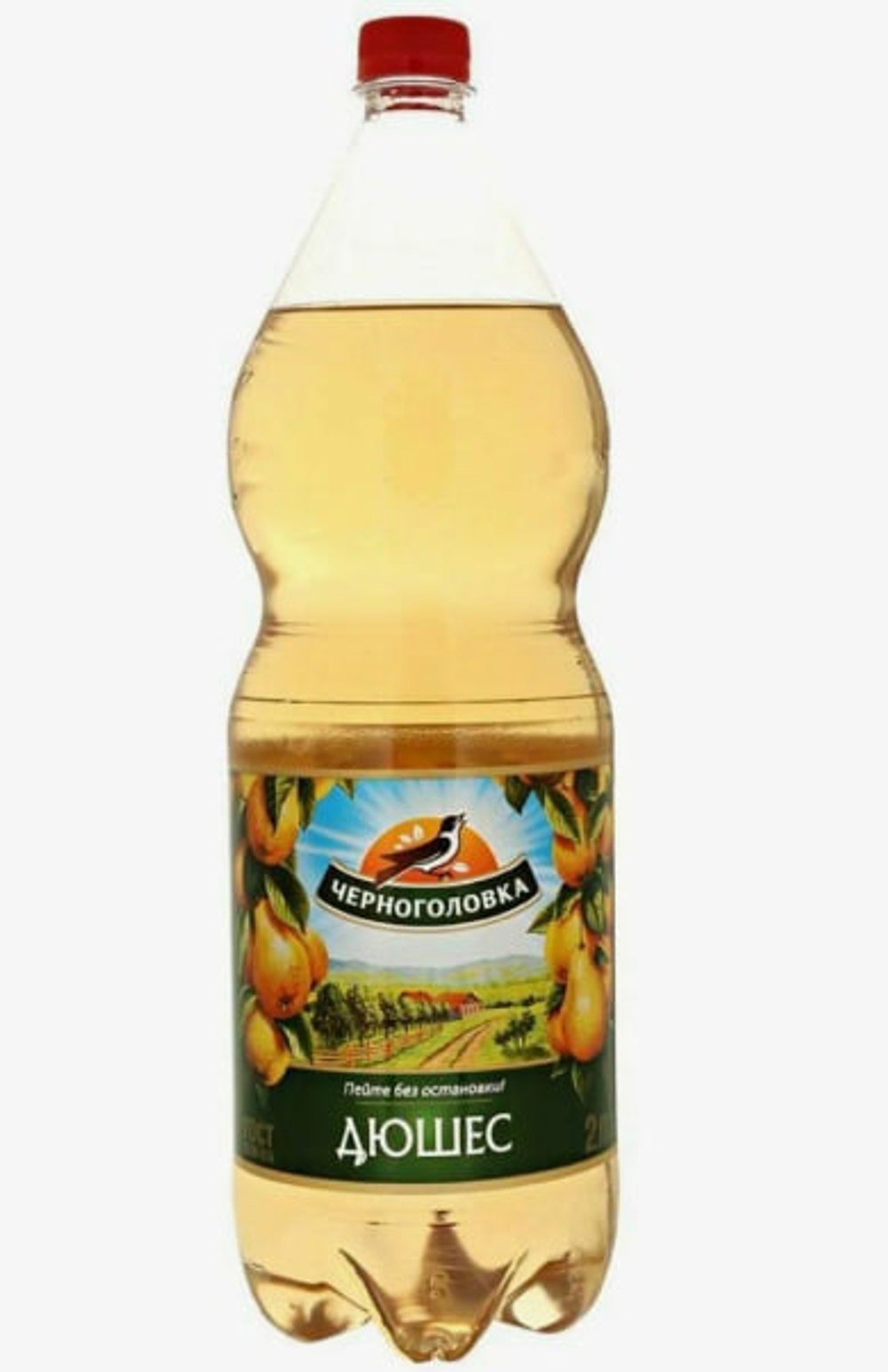 Черноголовка 2/6 ДЮШЕС ПЭТ