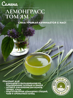 Лемонграсс Том Ям, Семена 0,03 гр.