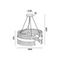 Подвесная люстра Vele Luce Lion VL3015P14