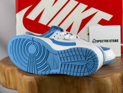 Nike Dunk Low Reverse UNC