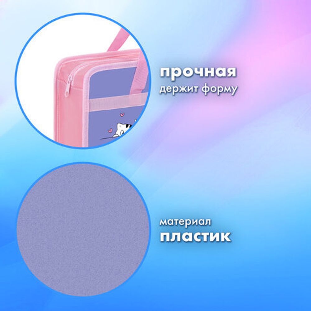 Папка на молнии с ручками BRAUBERG А4, 1 отделение, пластик, 80 мм, "Meow", 272163