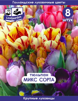 Тюльпан Луковица, Микс сортов 8 шт, разбор крупные