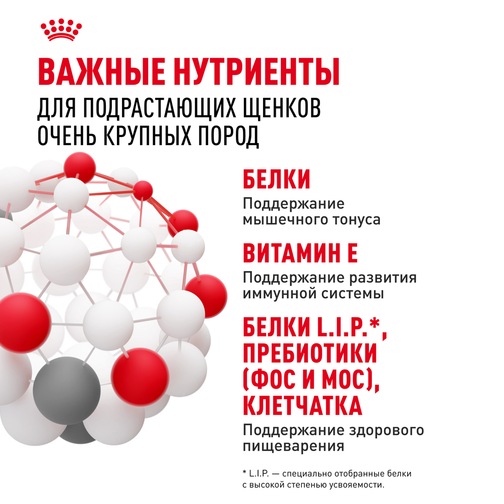 Royal Canin Giant Junior Джайнт Юниор Корм сухой для щенков очень крупных пород возраст от 8 до 18/24 месяцев 15кг