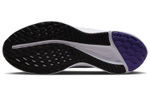 Кроссовки Nike Quest 5 (Женская размерная сетка)