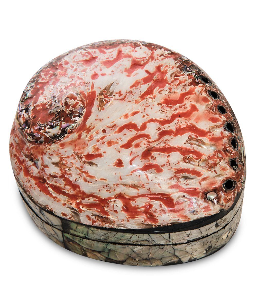 Decor and Gift 54-014 Декоративная шкатулка «Ракушка»