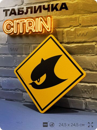 Табличка декоративная "Метал-Соник" на дверь и стену, прикольная штука в подарок в комнату, декоративный знак, 24,5х24,5 см, пластиковая, Айдентика Технолоджи
