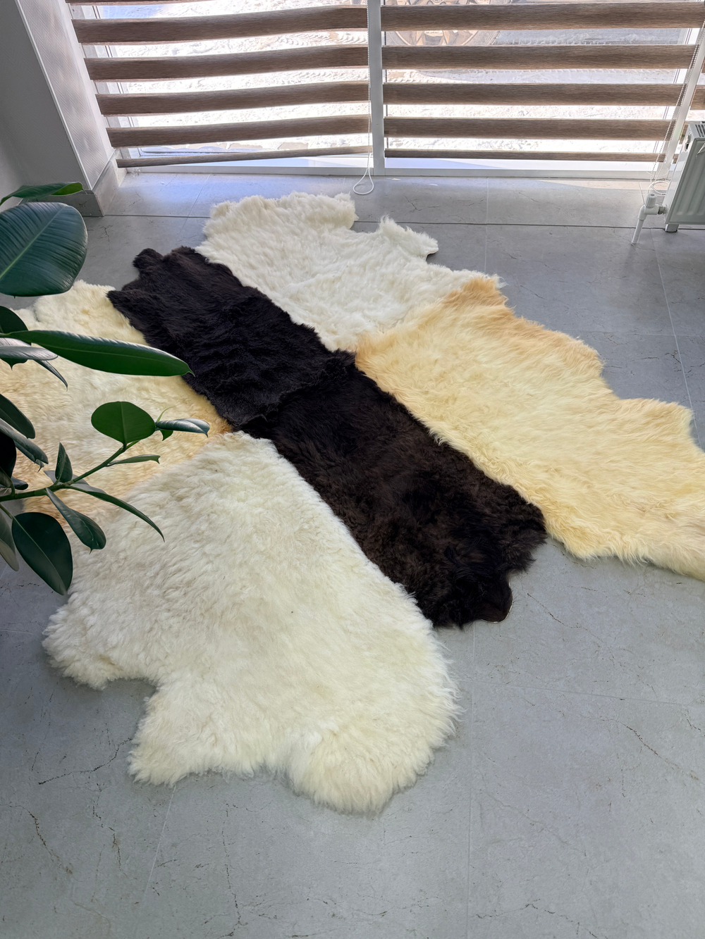 Ковер шкура натуральная овчина Меховой