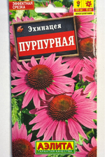 Эхинацея пурпурная (Рудбекия пурпурная) СМЦ-670