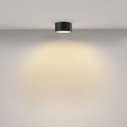 Накладной светильник Maytoni Zon C032CL-12W2.7K-RD-B