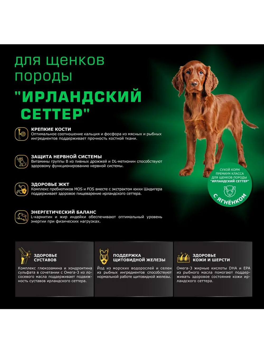 Корм сухой для щенков породы Ирландский сеттер, премиум полнорационный комплекс, с ягненком, 2,5 кг, QUATTRO