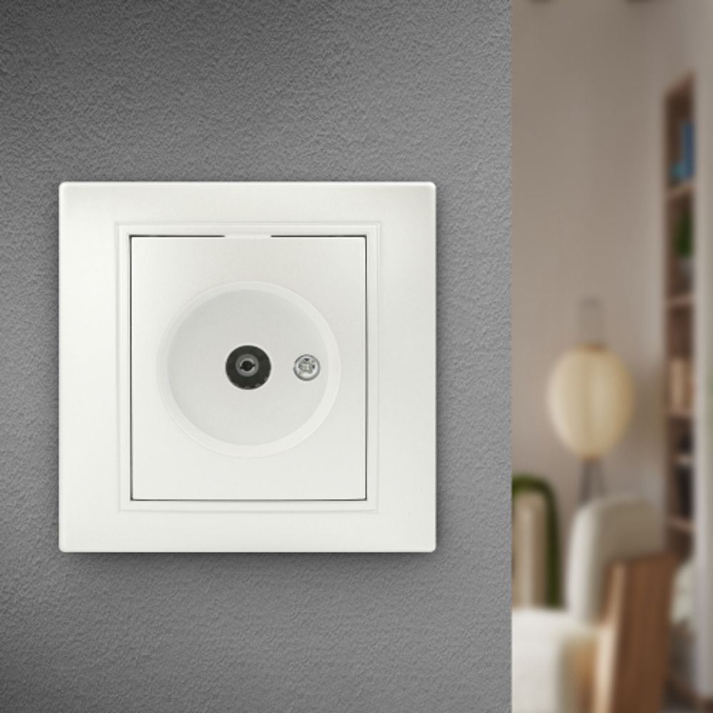 Розетка Intro Plano 1-301-06 TV одиночная, IP20, СУ, перламутр | Intro Plano