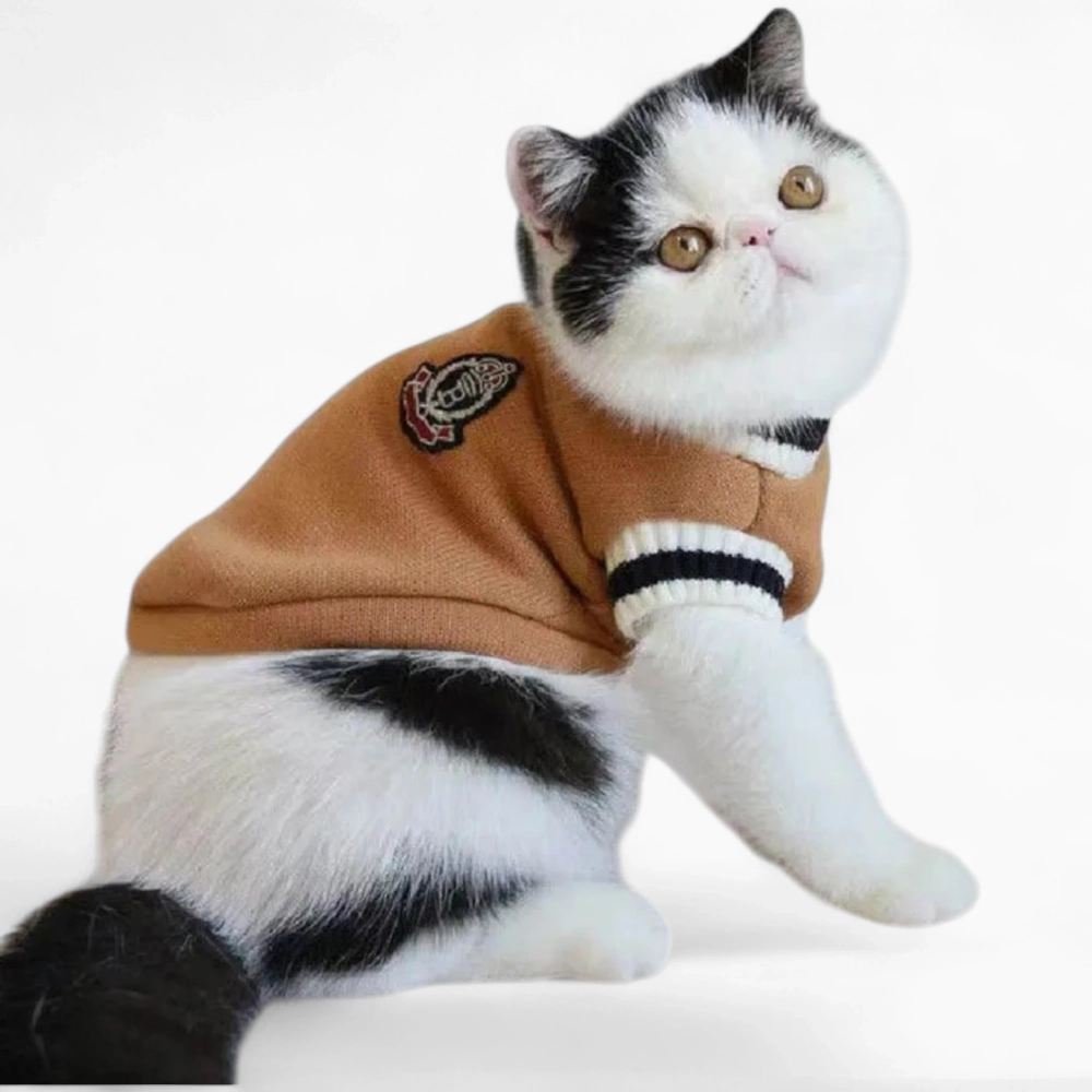 Пуловер «Crown»