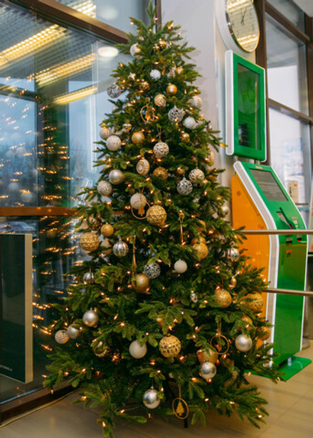Новогодняя ель «Торжество»