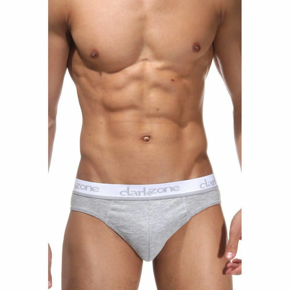 Трусы мужские слипы серые DARKZONE DZN6303