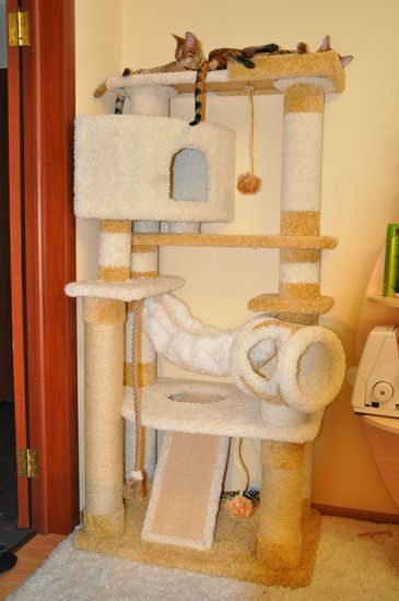 Комплекс для кошки И-18