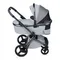 Коляска ANEX l/type 2 в 1 (lt-10t) frost + Аксесcуары