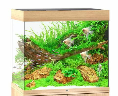 Аквариум Juwel Lido 200 LED светлое дерево