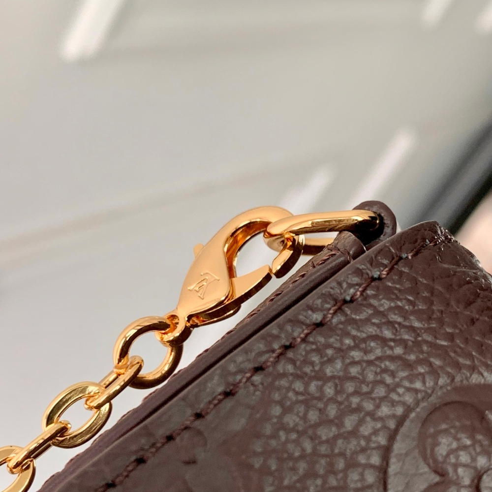 Louis Vuitton Felicie Pochette