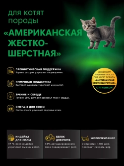 Корм для котят Американская жесткошёрстная, ягненок, 2 кг