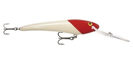 Воблер RAPALA Trolls-To Minnow TTM20-RH