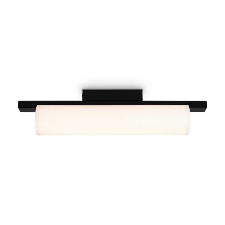 Потолочный светильник Freya Modern Even FR5625CL-L20B