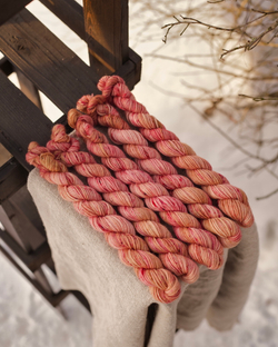 Носочная пряжа с добавлением шерсти "Лепестки пиона" 20 г