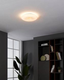 Накладной светильник Eglo Nieves 1 900498