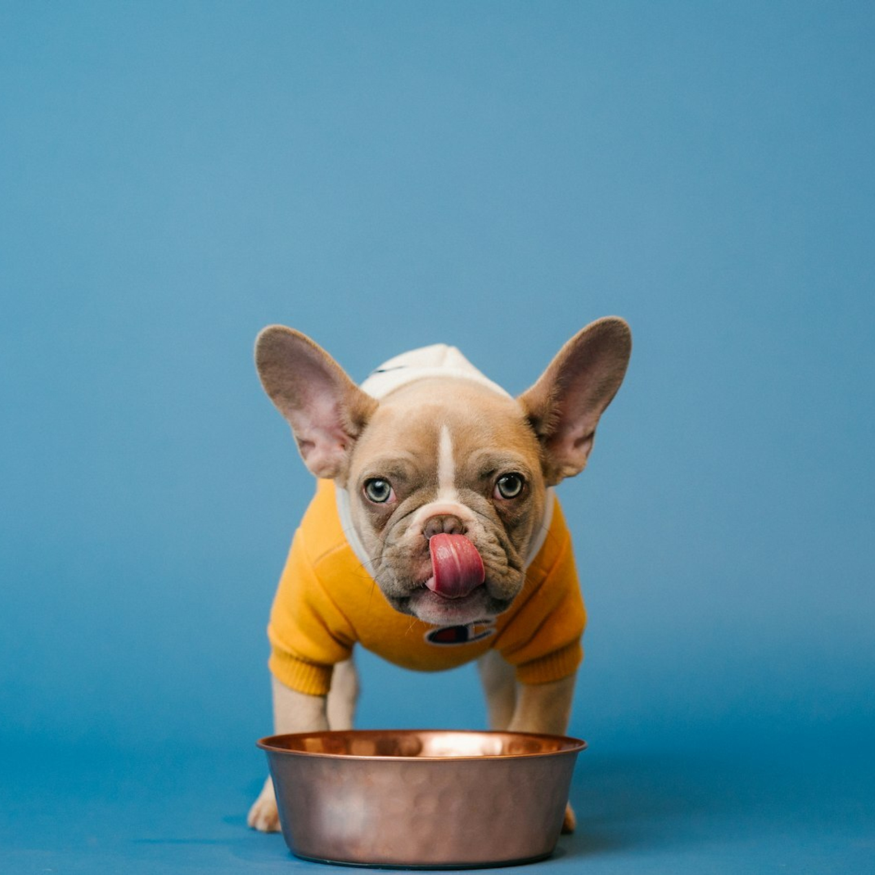 Купите лучшие товары!