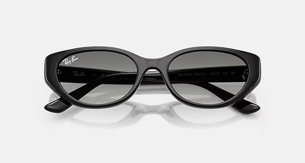 RAY-BAN RB4457D 667711 BIO-BASED