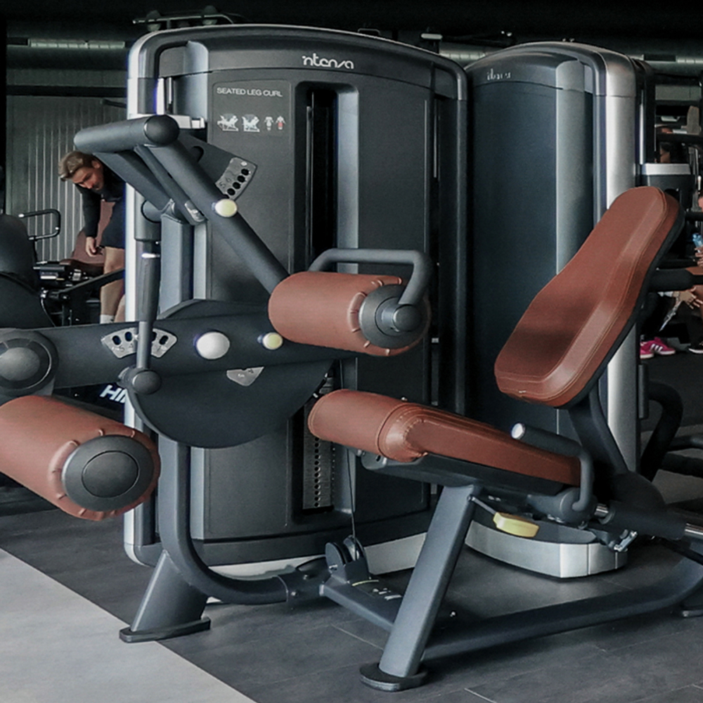 Сгибание ног сидя INTENZA DEZIGN DL-08