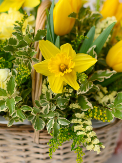 Перед рассветом