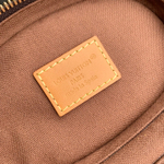 Louis Vuitton Watering Can Bag