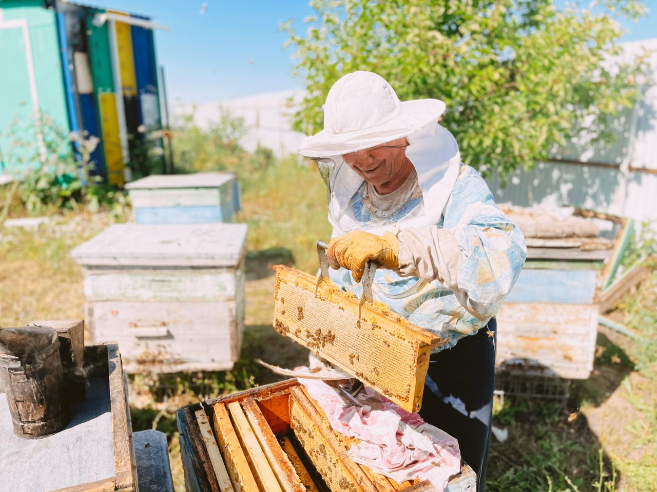 Пасека Гатуповых