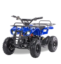 Электроквадроцикл MOTAX Mini Grizlik X-16 1000W New
