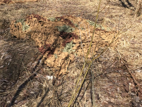 Маскировочная сеть Камыш