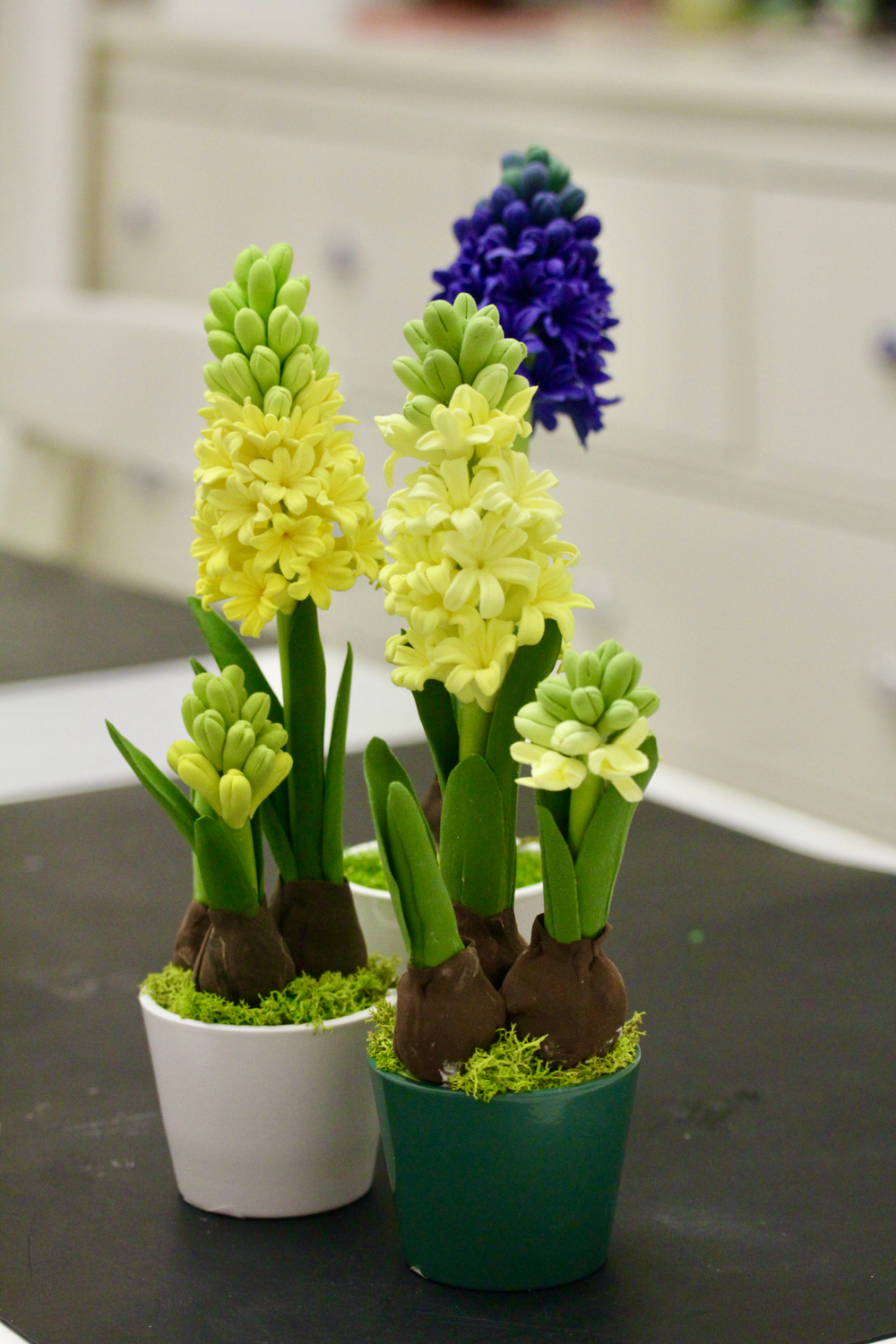 Гиацинт в подарок к празднику