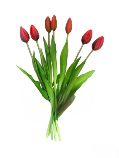 Букет закрытых тюльпанов 4+3 - Красный