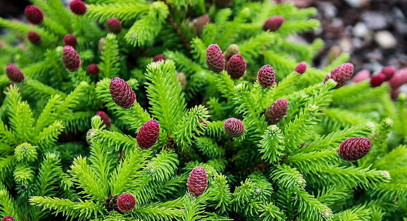 Предзаказ растений с&nbsp;выгодой от&nbsp;<span>20%</span>!