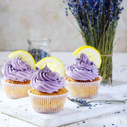 Лаванда LUX сушеная (бутоны), 500 гр