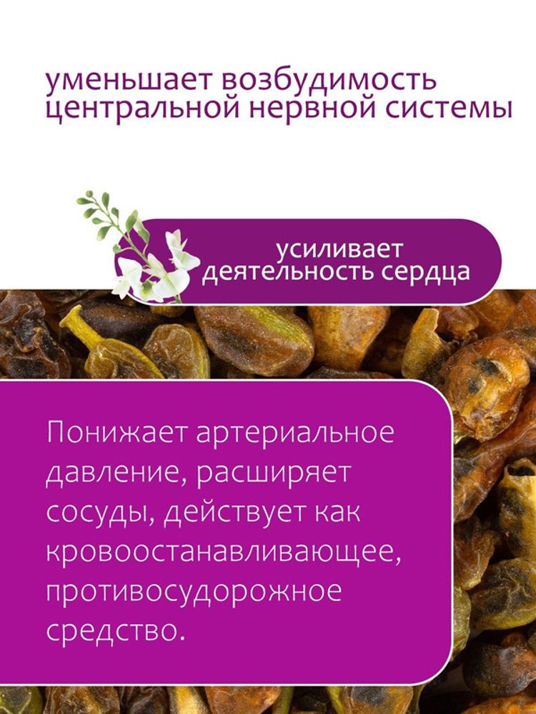 Софора плоды