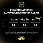 Ягненок с овощами, 85гр влажный корм для собак, Cesar