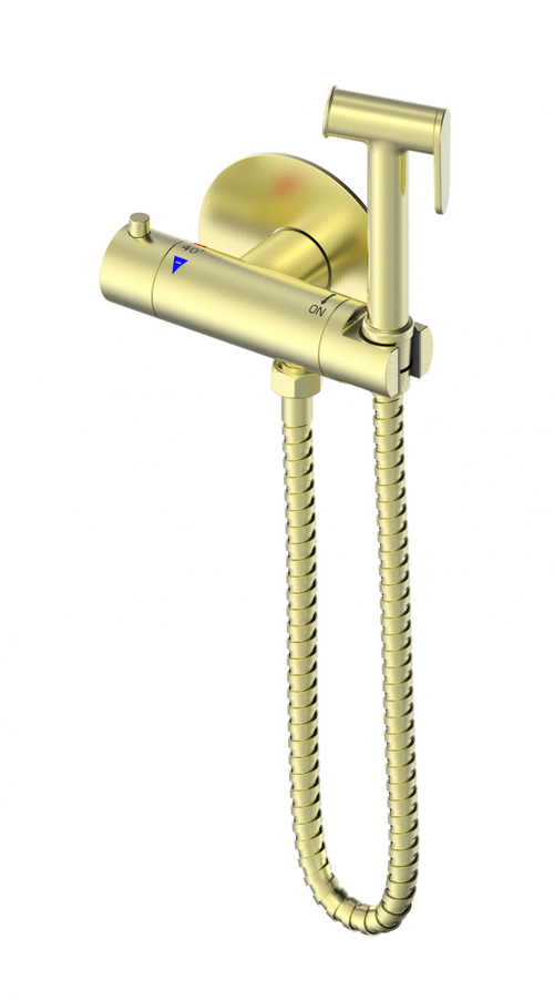 Смеситель с гигиеническим душем и термостатом встраиваемый WONZON & WOGHAND, Брашированное золото (WW-88819902-BG)