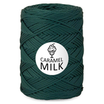 Шнур Caramel Milk, 3мм, 300м, 100% полиэфир (1 шт.)