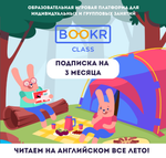 BOOKR Summer (3 месяца)