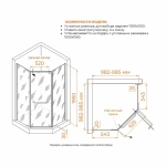 Душевой уголок RGW Passage PA-081B 35088100-24 100x100 стекло матовое/профиль черный