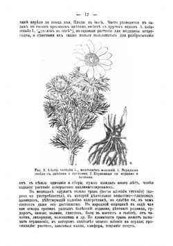 Русские лекарственные растения. Том 1 | Рытов Михаил Васильевич