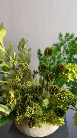 Композиция в кашпо Озотамнус