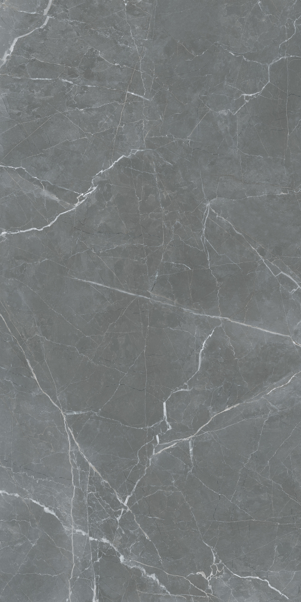 SHAKESPEARE SENIOR GREY