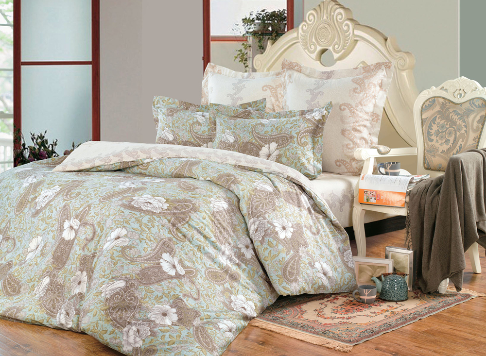 Постельное белье СайлиД B-121 сатин